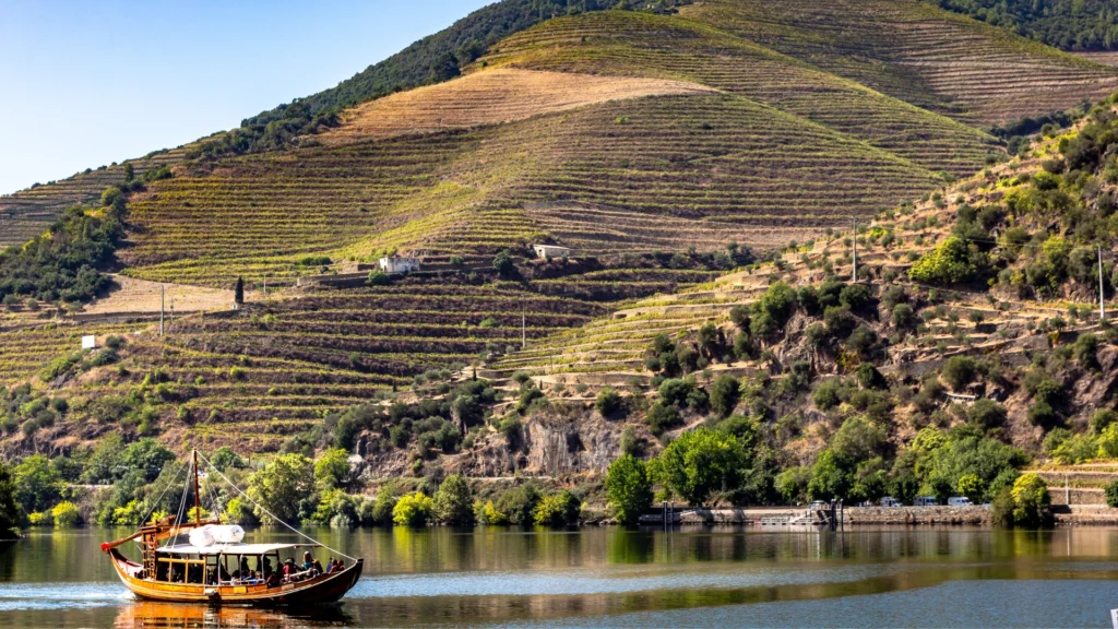 Douro Valley Tour