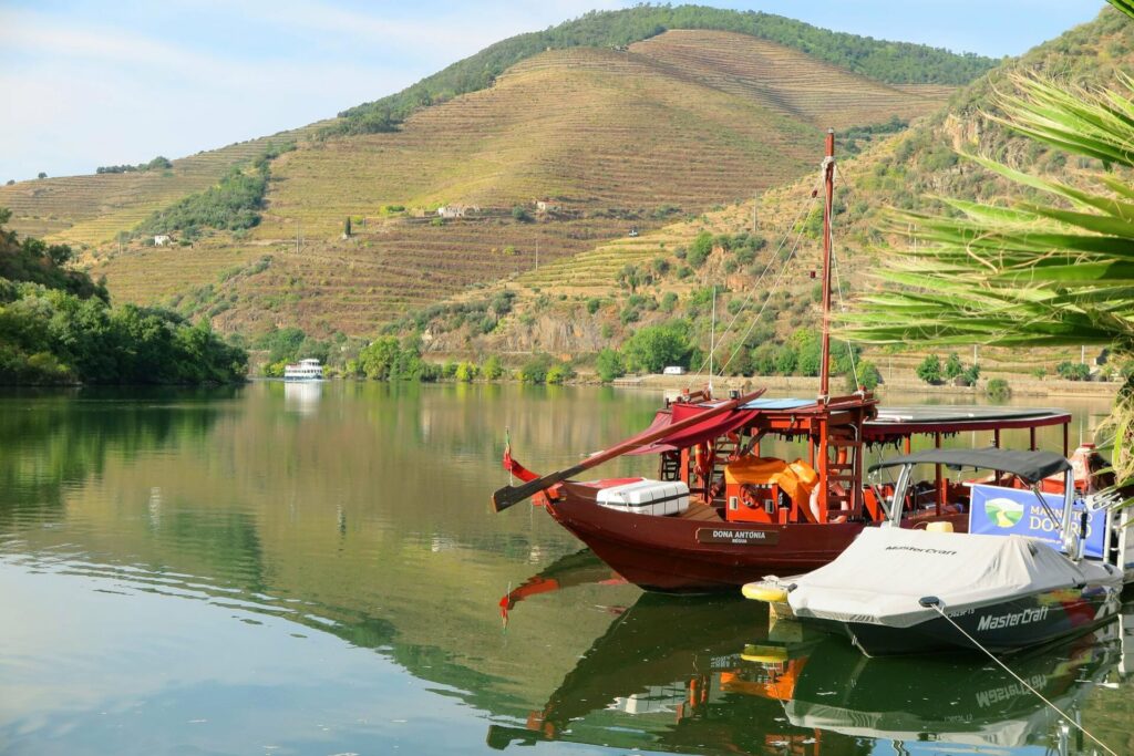 Douro Valley Tour