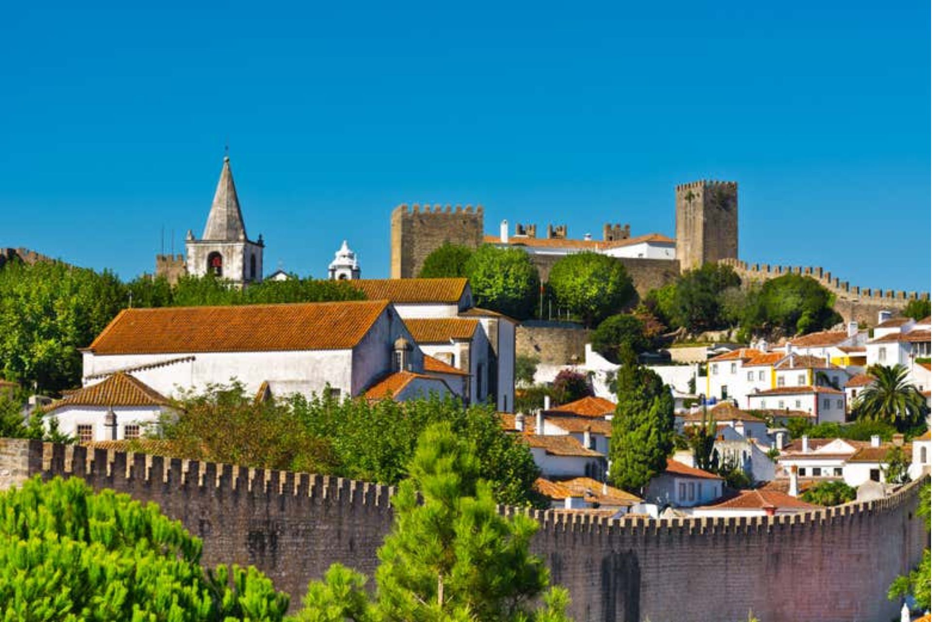 Óbidos Tour and Nazaré Tour